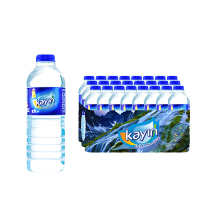 Kayın Su 12 x 500 ml